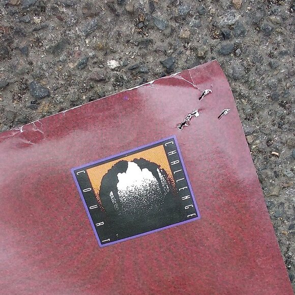 RARE Vintage Nike Andre Agassi Challenge Court Poster 72" - Picture 7 of 7